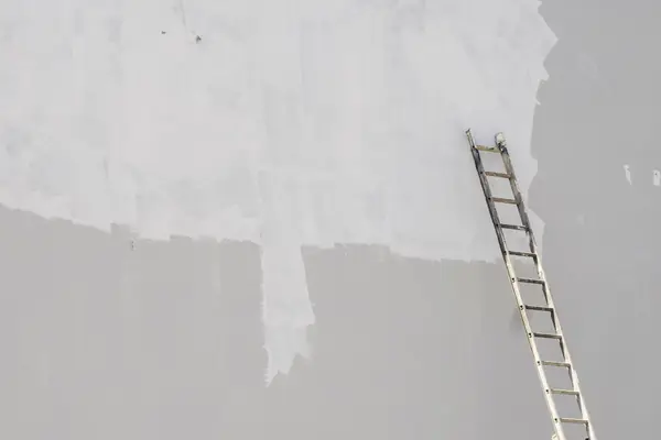 Exterior painting in Reno: ladder against a freshly primed wall
